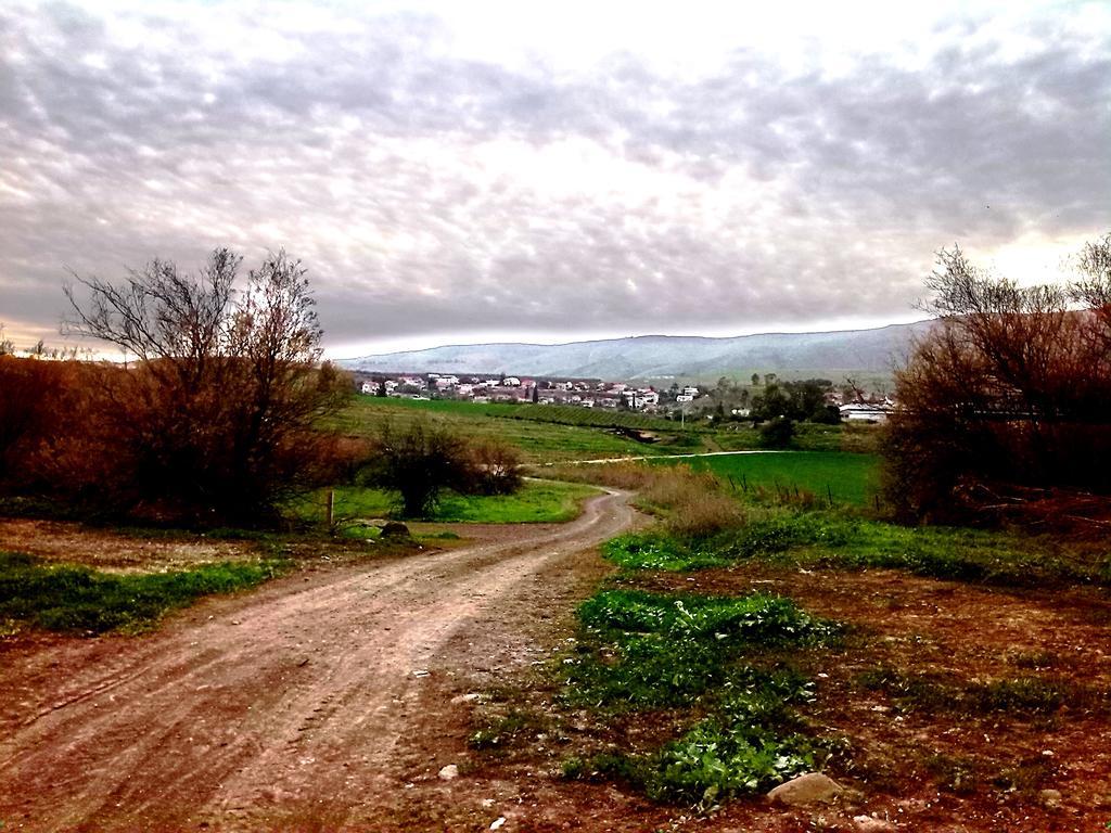 Jordan Valley One Room Apartment Menaẖemya Dış mekan fotoğraf